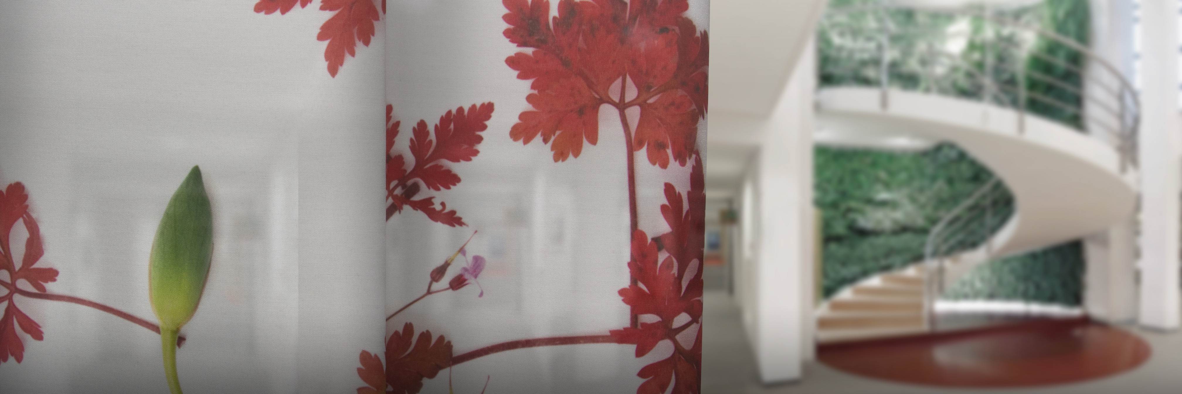 FLOWERS + LEAVES - NANCY
